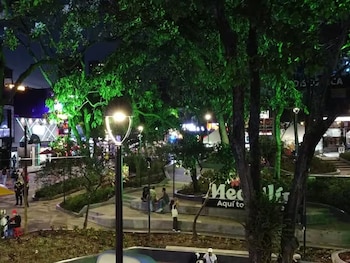 En varias oportunidades se ha