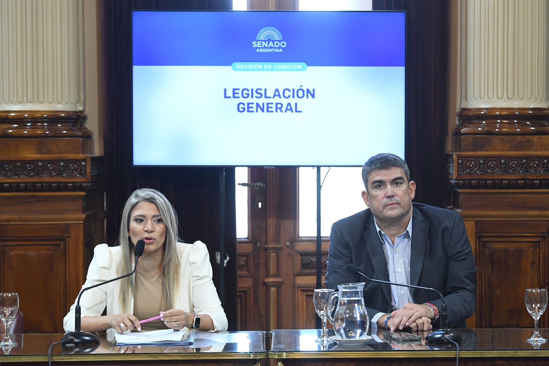 La titular de la comisión de Legislación General de la Cámara alta, la libertaria Nadia Márquez. A su lado, el vice y peronista opositor, Pablo Bensusán