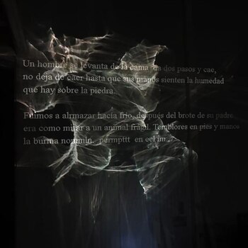 Guía de Arte y Cultura: semana del 29 de noviembre al 6 de diciembre