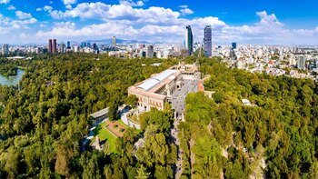 Music, circus and dance in