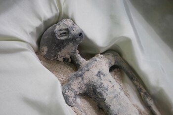 Cuerpo momificado presentado por Jaime