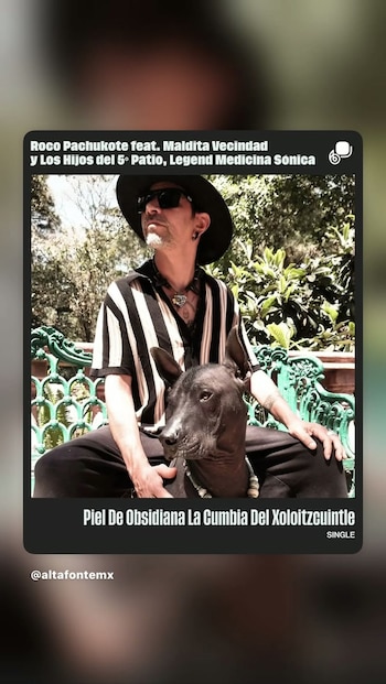 Hombre con sombrero, gafas oscuras y camisa a rayas sentado en una banca verde junto a un perro xoloitzcuintle frente a follaje verde