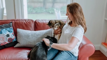 Una especialista en animales consideró