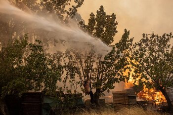 Un voluntario cuelga de un