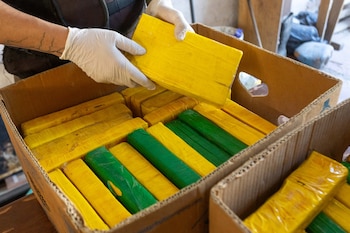 Los panes de cocaína secuestrados fueron hallados durante un procedimiento de la Policía contra el Narcotráfico en Mendoza
