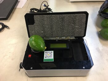 Foto: Daniel Gaviria /Agencia de