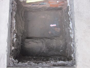 Resaltaron el descubrimiento de un