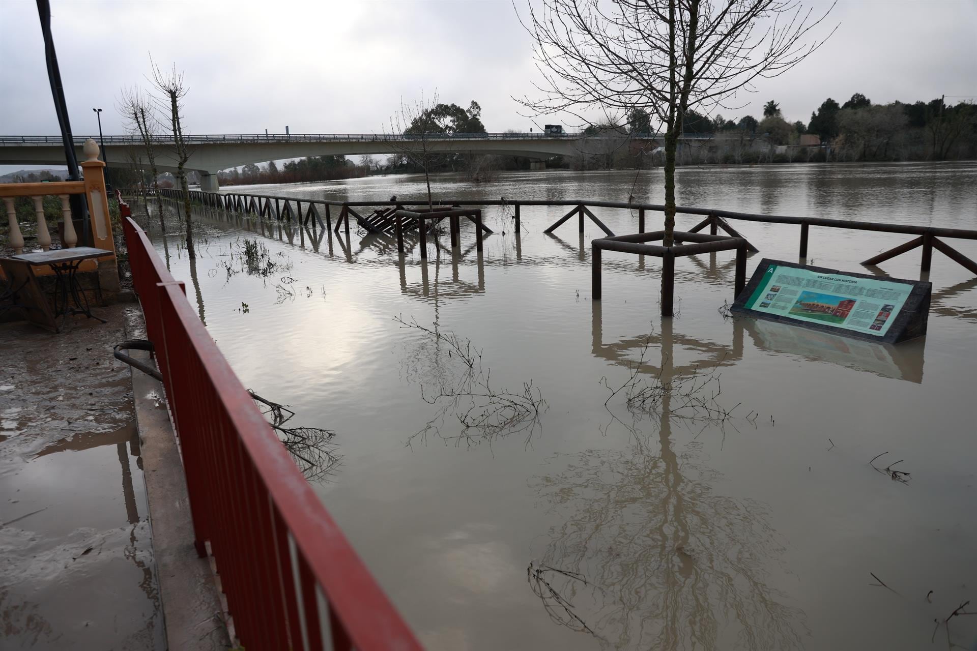 La Eurocámara valida ayuda de 149 millones a España por las inundaciones en Andalucía y Extremadura de principios de año