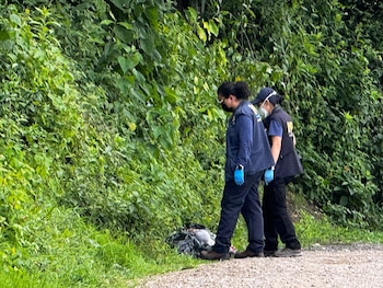 Dos personas con chalecos, mascarillas y guantes azules se inclinan sobre un objeto en el suelo, en un camino de tierra junto a vegetación abundante