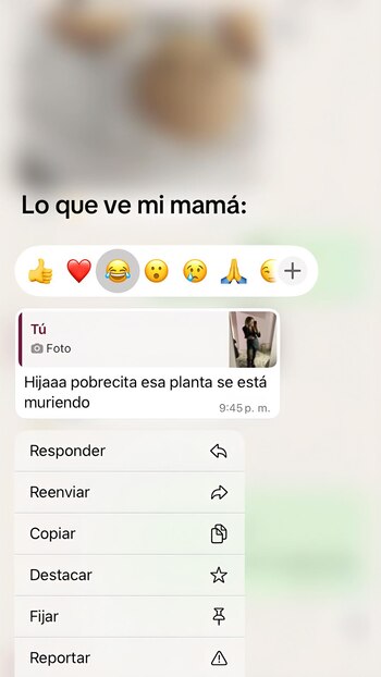 La preocupación de una madre