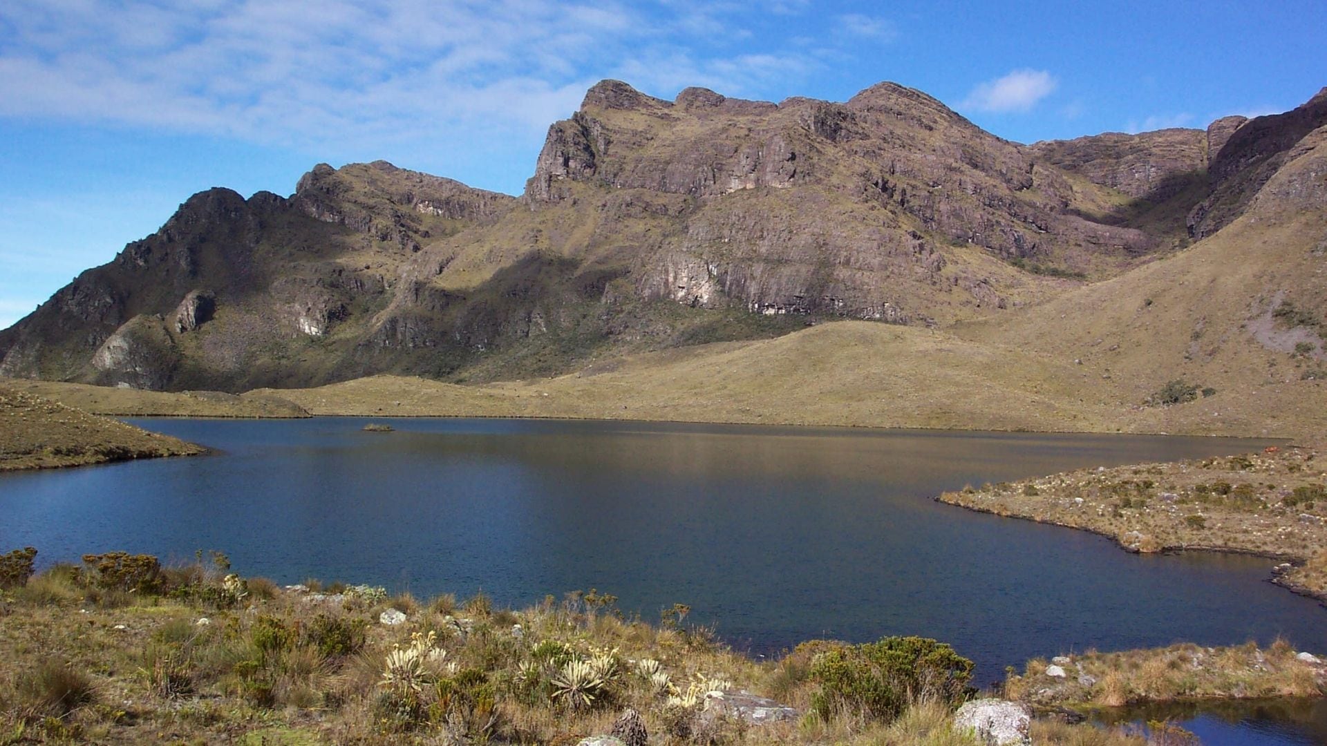 Laguna Brava, Municipio de Arboledas, Páramo de Santurbán. Foto: Wikimedia Commons / Grupo Áreas Protegidas CORPONOR.