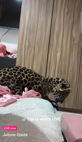 La modelo de OnlyFans aseguró