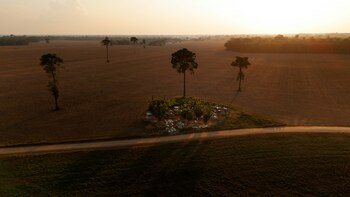 Una vista de dron muestra