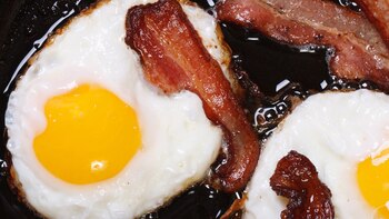 Las grasas poliinsaturadas parecían ser