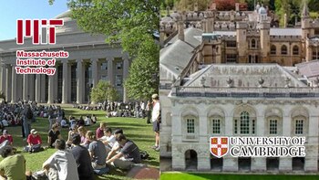 La difícil decisión de elegir