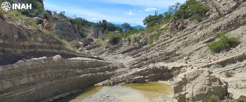distintas especies havbitaron la región que hoy es Puebla.FOTO: INAH