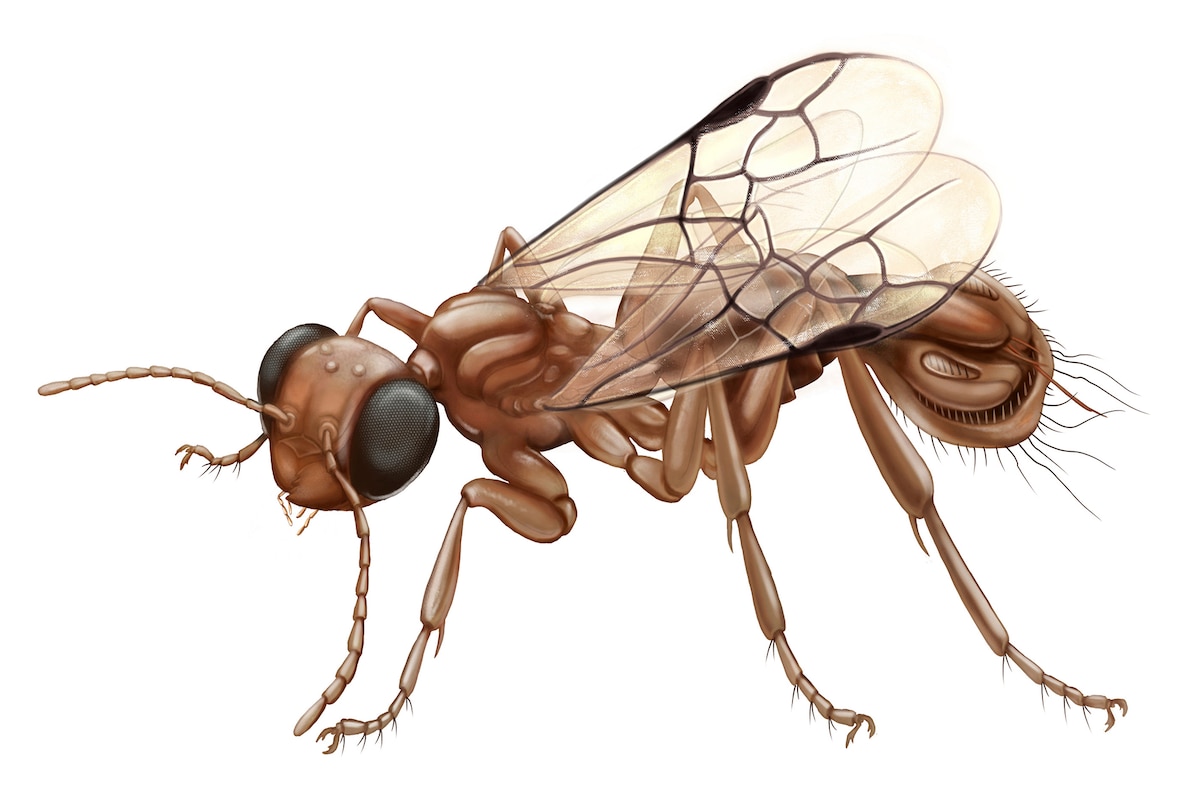 biodiversidad