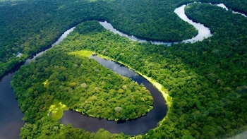 Río Ucayali en alerta roja: