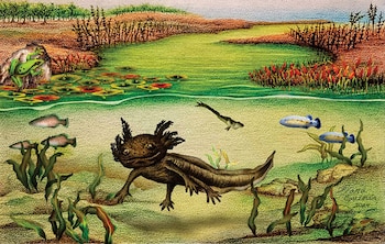 Ilustración de un ajolote bajo el agua rodeado de peces, algas, lirios acuáticos y una rana