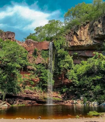 El acceso generalmente es gratuito