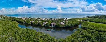 Imagen YHLVQSGX2JFQJNFL6NKP47F3BQ