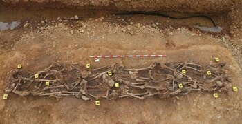 Fosa Común de la época