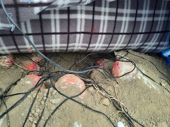 Los experimentos y simulaciones numéricas