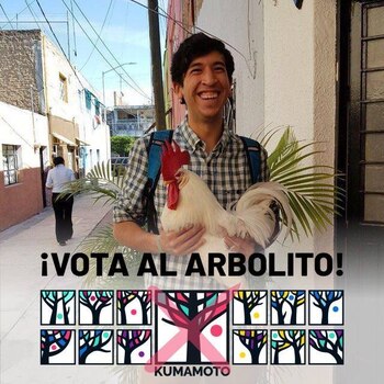 Así fueron las primeras campañas