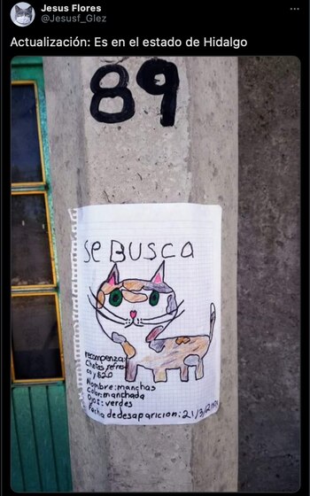 Usuarios de Twitter comparten dibujo