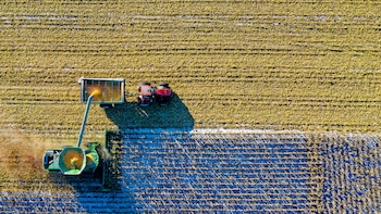 Los sindicatos agrarios convocan movilizaciones en toda España por un precio “inasumible” del gasóleo que mantiene al sector en una “situación límite”