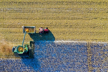 Los problemas actuales del campo español (Pexels)