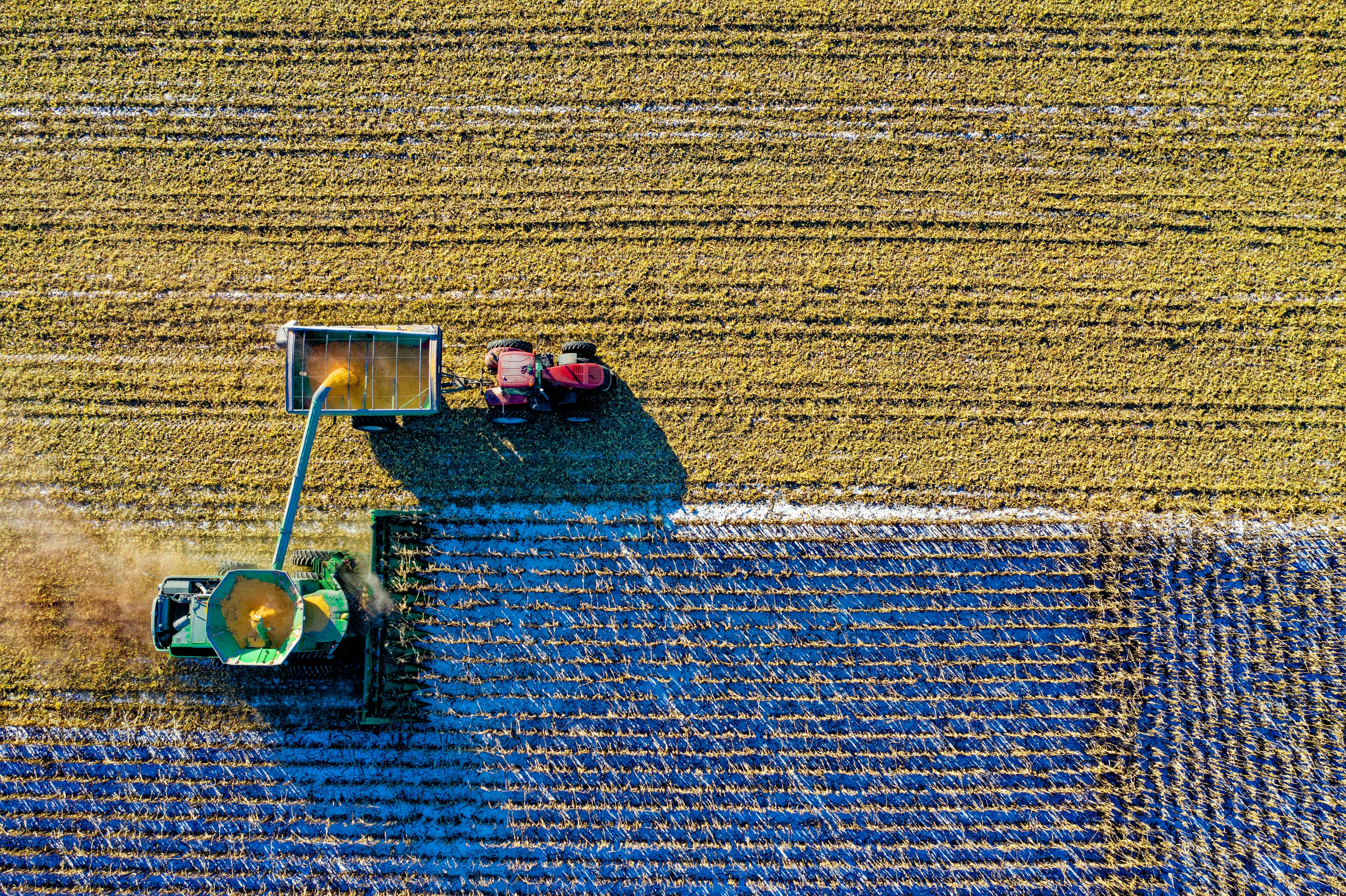 Los problemas actuales del campo español (Pexels)