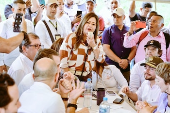 La ministra de Transporte confirmó que la ANI rechazó la iniciativa privada tras realizar la evaluación técnica, jurídica y financiera del proyecto. - crédito @maferojas/X