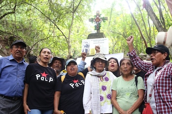 Más de 570 representantes solicitaron