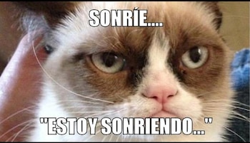 Los 5 memes más graciosos de gatos. (foto: Mag El Comercio)
