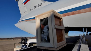 La difusión de la noticia