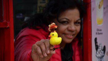 Por qué se usan patitos