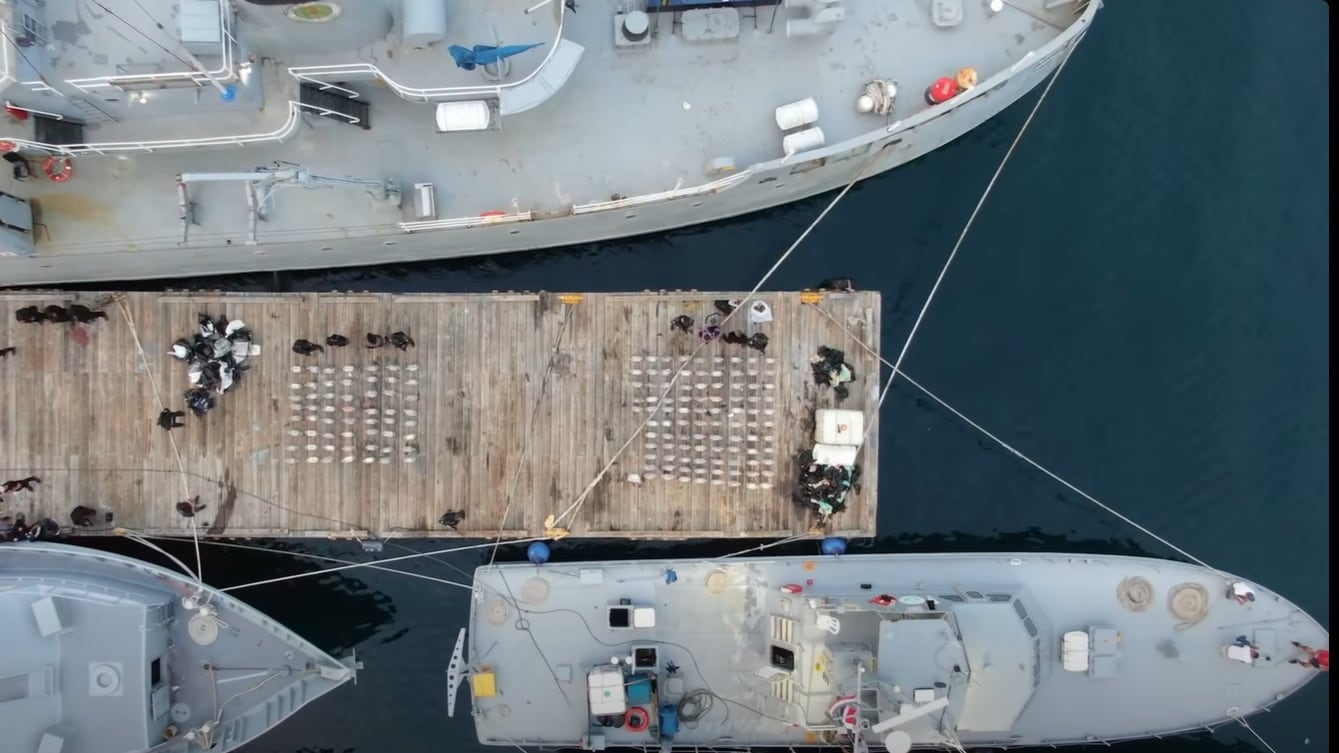 Las autoridades no revelaron las identidades de los detenidos ni el destino final de la sustancia. Entre los hallazgos, uno llamó la atención por su rareza: un mono de procedencia exótica viajaba junto al cargamento. (Captura de video DNCD)