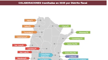 Crecieron 12,5% las causas en las que interviene la fiscalía contra el narcotráfico