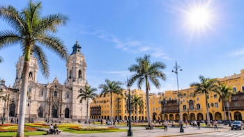 Plaza urbana con palmeras, jardines de flores, personas sentadas, edificios amarillos y una catedral bajo un sol despejado