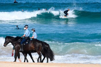 EFE/EPA/DAN HIMBRECHTS AUSTRALIA AND NEW