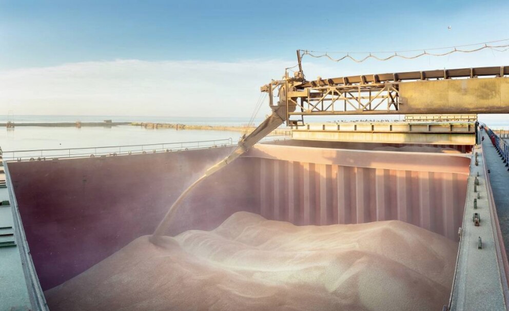 Brasil facilita la importación de trigo para reducir costos