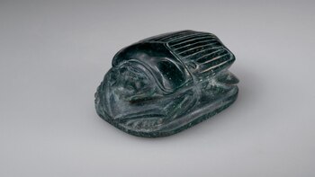 Un escarabajo de corazón finamente