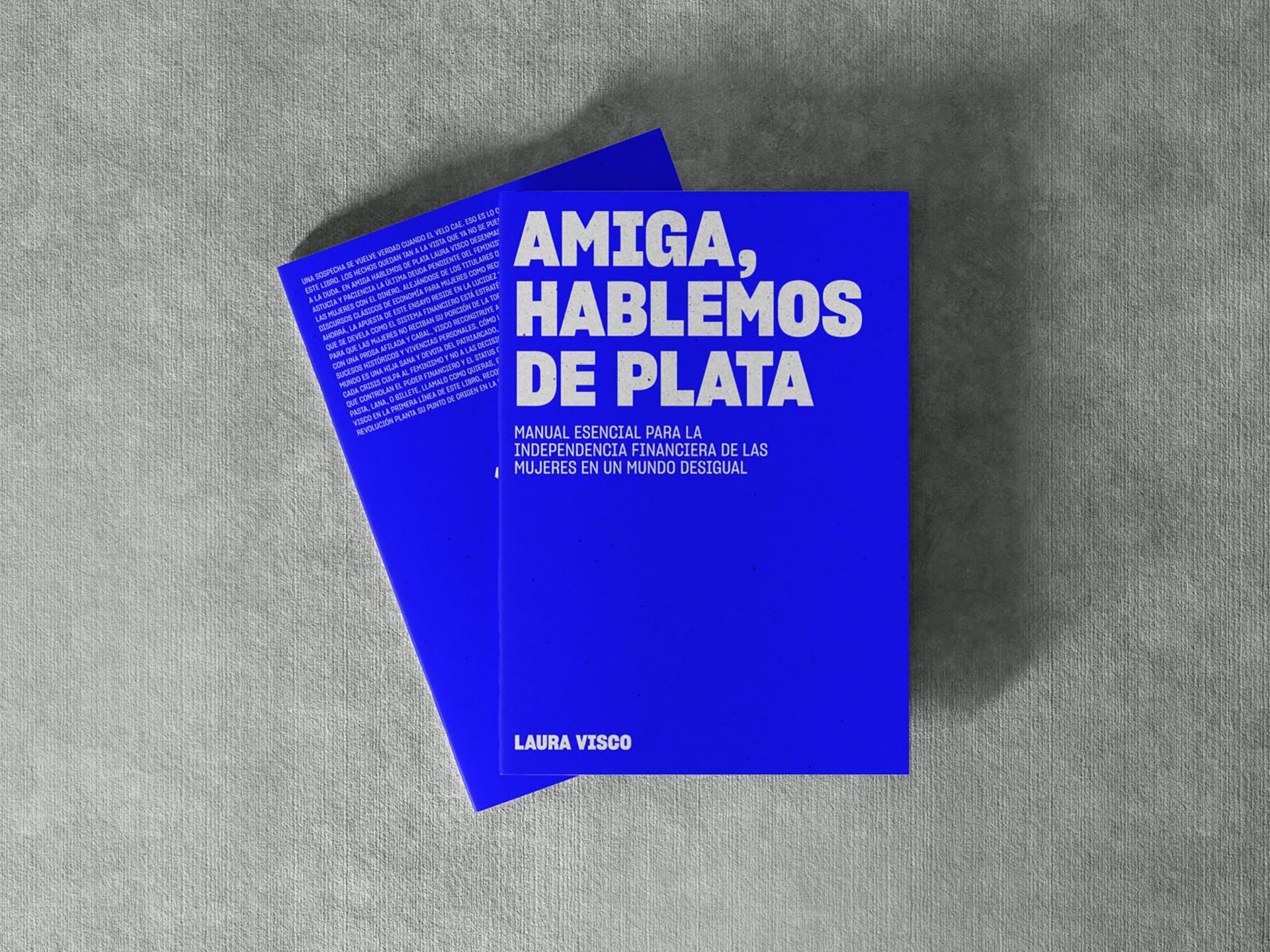 “Amiga, hablemos de plata” es un proyecto que empezó en mayo de 2024 como un libro. “Me lo autopubliqué porque las editoriales pretendían que escribiera un manual con ‘bolutips’ financieros”, dice