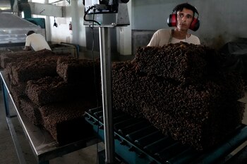 Estados Unidos y Europa destacan