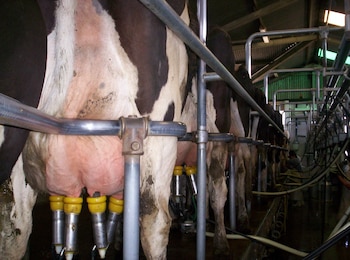 Reducir los gases asociados a