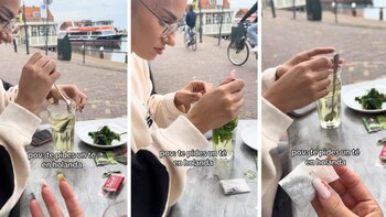 “No entiendo este momento jardinería”,