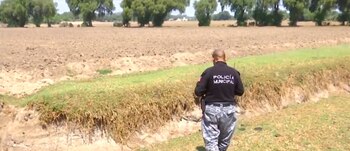 Las autoridades continúan con la