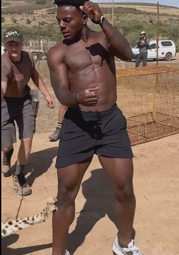 La reacción imprevista del felino