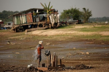 Las imágenes satelitales y datos de campo combinaron información de 57 parcelas y sensores remotos para calcular la mortalidad de árboles a escala regional./Archivo REUTERS/Bruno Kelly